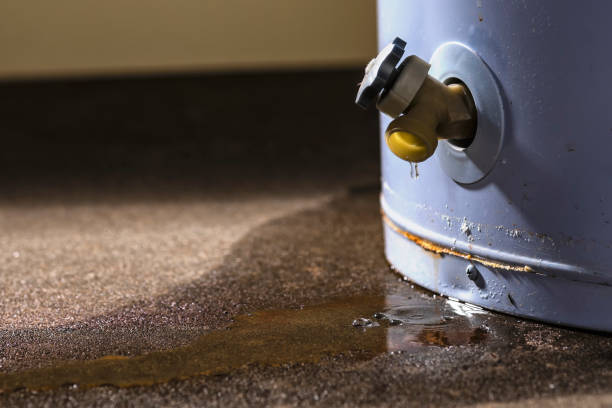 Best Flood restoration services  in Monroe, NC