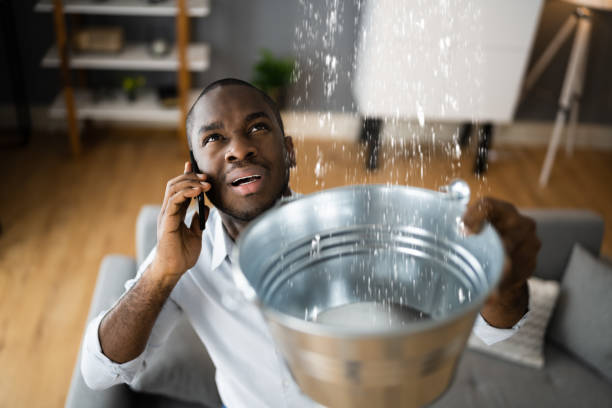 Best Water damage cleanup near me  in Monroe, NC