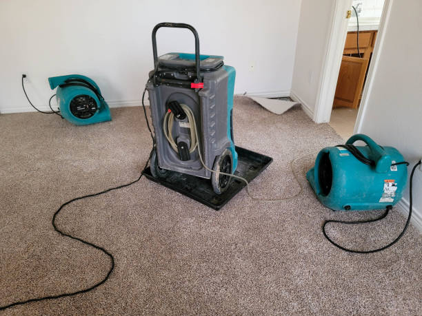 Best Water damage mitigation services  in Monroe, NC