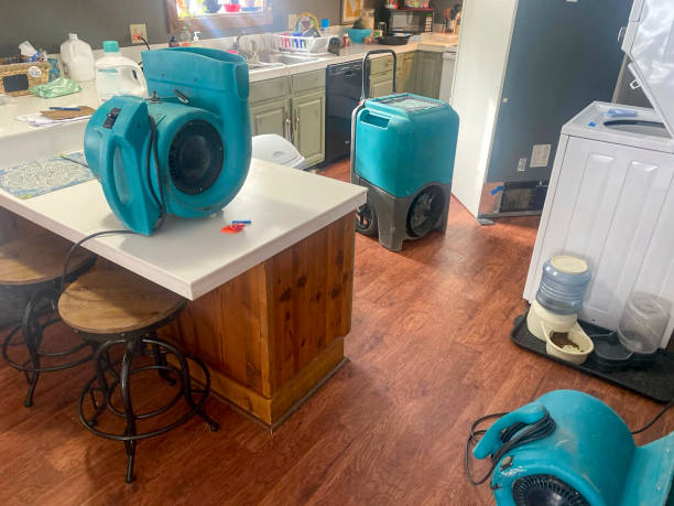Best Professional water damage repair  in Monroe, NC