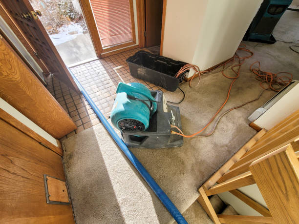 Best Mold removal after water damage  in Monroe, NC