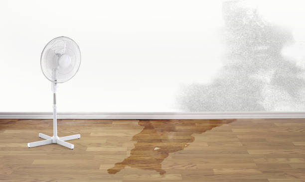 Best Water damage mitigation services  in Monroe, NC