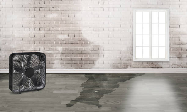 Best Water damage restoration near me  in Monroe, NC