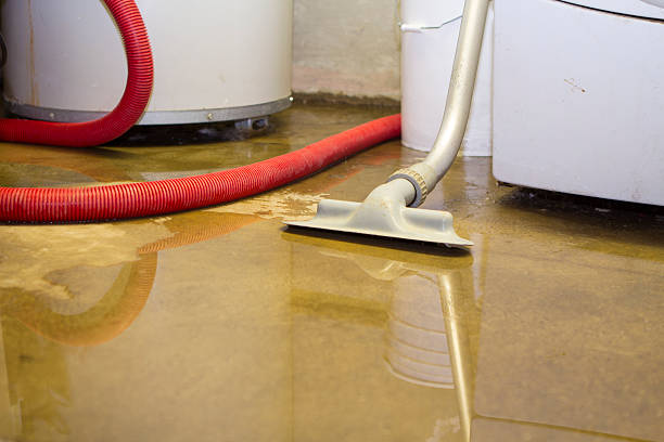 Best Flood damage cleanup  in Monroe, NC