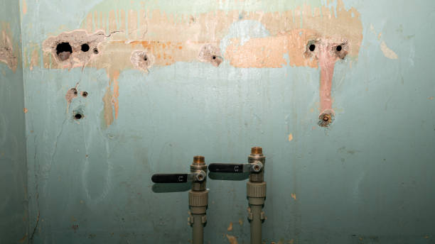 Best Water damage contractors near me  in Monroe, NC